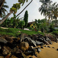 фото из отзыва ID 2745834