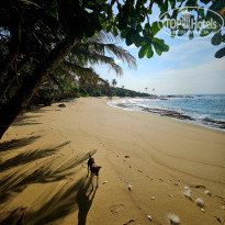 фото из отзыва ID 2745834