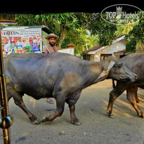 фото из отзыва ID 2745834