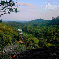 фото из отзыва ID 2745834