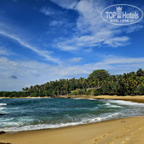 фото из отзыва ID 2745834