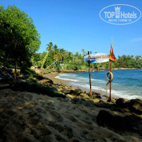 фото из отзыва ID 2745834