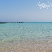 фото из отзыва ID 2745842