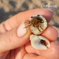 фото из отзыва ID 2745842