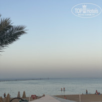 фото из отзыва ID 2745847