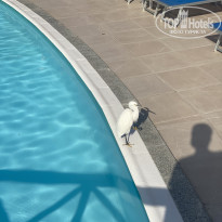 фото из отзыва ID 2745847