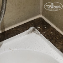 фото из отзыва ID 2745851