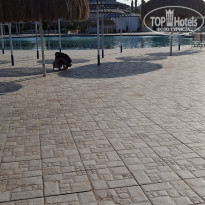 фото из отзыва ID 2745870