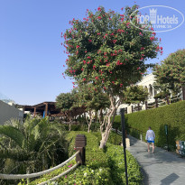 фото из отзыва ID 2745226