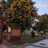 фото из отзыва ID 2745878