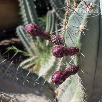 фото из отзыва ID 2745879