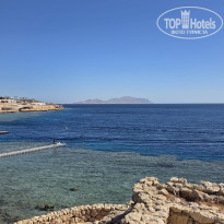 фото из отзыва ID 2745879