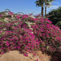 фото из отзыва ID 2745879