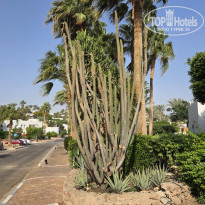 фото из отзыва ID 2745879