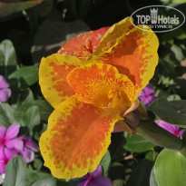 фото из отзыва ID 2745879