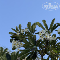 фото из отзыва ID 2745908