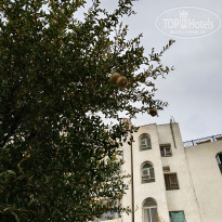 фото из отзыва ID 2745906