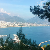 фото из отзыва ID 2745909