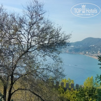 фото из отзыва ID 2745909