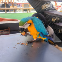 фото из отзыва ID 2745909