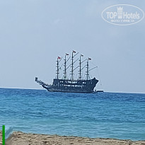 фото из отзыва ID 2745947