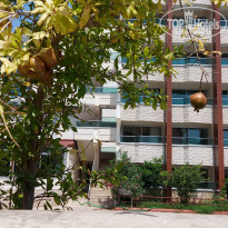 фото из отзыва ID 2745947