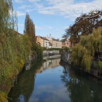 фото из отзыва ID 2746007