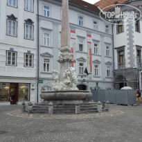 фото из отзыва ID 2746007