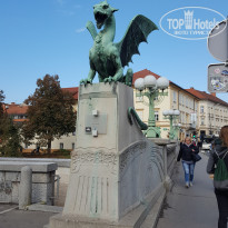 фото из отзыва ID 2746007