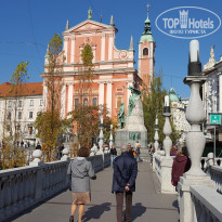 фото из отзыва ID 2746007