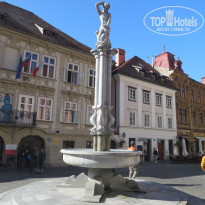 фото из отзыва ID 2746007