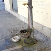 фото из отзыва ID 2746007