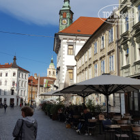 фото из отзыва ID 2746007