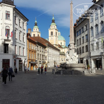 фото из отзыва ID 2746007