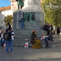 фото из отзыва ID 2746007