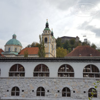 фото из отзыва ID 2746007