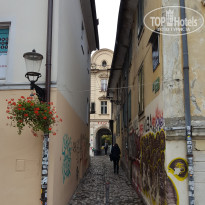 фото из отзыва ID 2746007