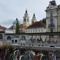 фото из отзыва ID 2746007