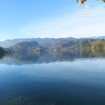 фото из отзыва ID 2746007