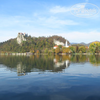 фото из отзыва ID 2746007