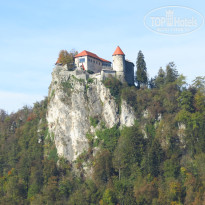 фото из отзыва ID 2746007