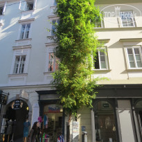 фото из отзыва ID 2746007