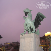 фото из отзыва ID 2746007