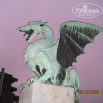 фото из отзыва ID 2746007