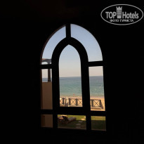 фото из отзыва ID 2746030