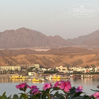 фото из отзыва ID 2746012