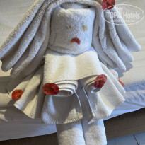 фото из отзыва ID 2746012