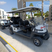 фото из отзыва ID 2746038