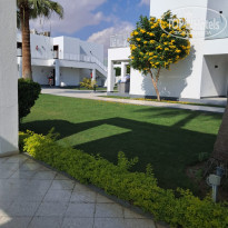 фото из отзыва ID 2746038