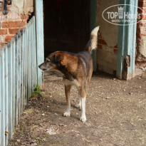 фото из отзыва ID 2745742